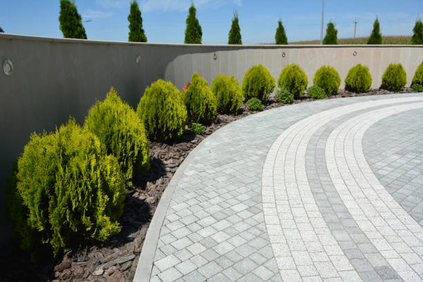 Best Best Driveway Pavers  in Tyhee, ID